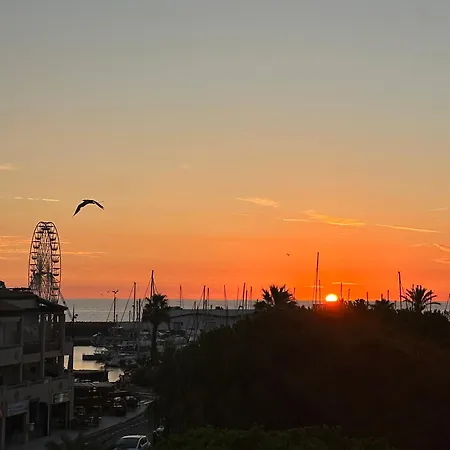 Au Port Saint-Cyprien (Pyrenees-Orientales)